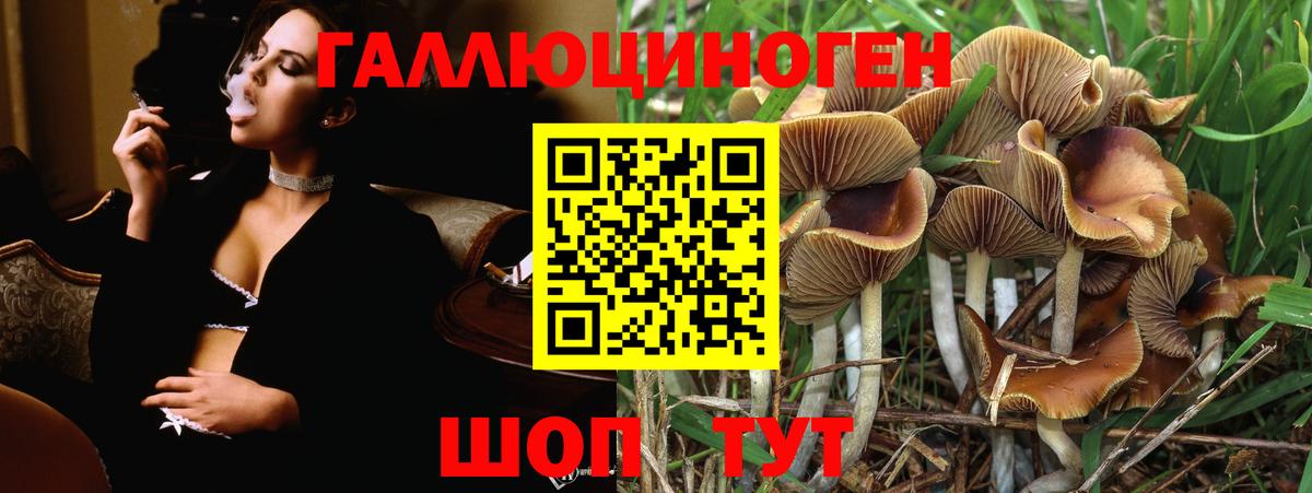 Рубцовск  Псилоцибиновые грибы MAGIC MUSHROOMS  Вход с VPN  Галлюциногенные грибы Psilocybine cubensis 
